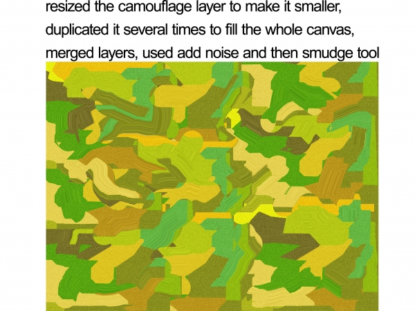 Creation of Camouflaged: Step 4